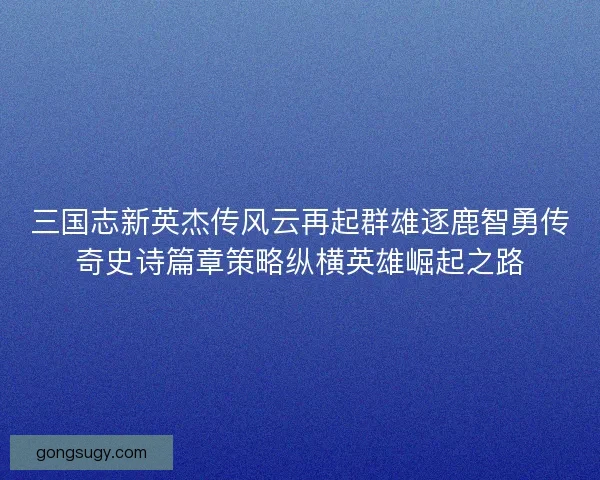 三国志新英杰传风云再起群雄逐鹿智勇传奇史诗篇章策略纵横英雄崛起之路