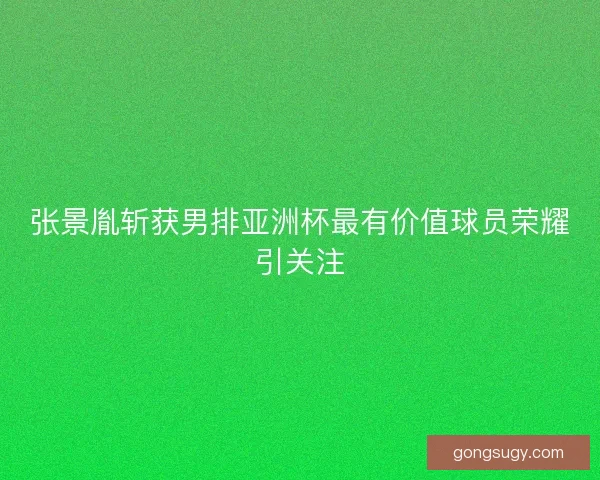 张景胤斩获男排亚洲杯最有价值球员荣耀引关注